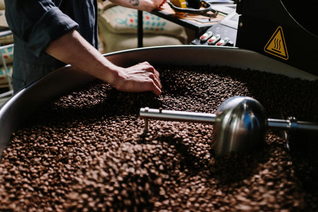 How Coffee Roasts Transform Your Beans: A Flavour Exploration